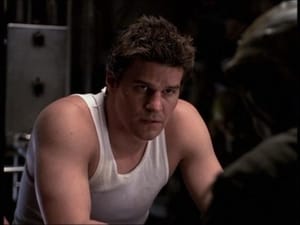 Angel: 1×16