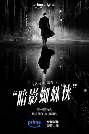 poster Spider-Noir
