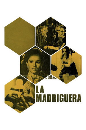 Honeycomb 14