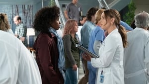 Grey’s Anatomy 15 x Episodio 19