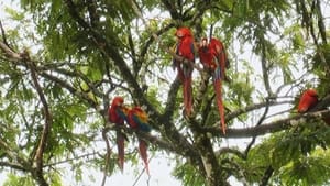 World Natural Heritage Costa Rica: Guanacaste National Park