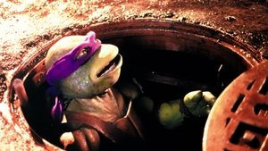 Teenage Mutant Ninja Turtles ( 1990 )