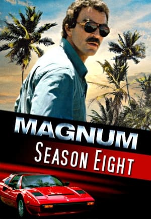 Magnum: Temporada 8