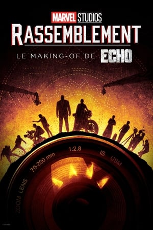 Poster Rassemblement: Le making-of de Echo 2024