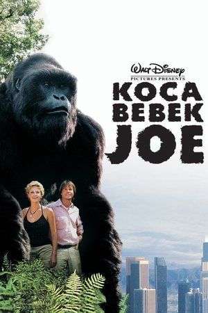 Image Koca Bebek Joe