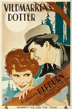 Poster Spitfire 1934