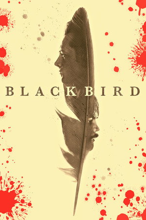 Black Bird 121