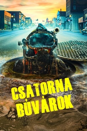 Image Csatornabúvárok