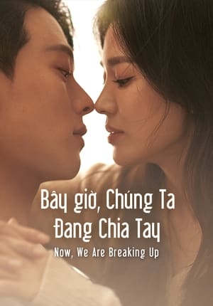 Image Bây Giờ, Chúng Ta Đang Chia Tay