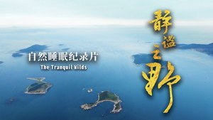 静谧之野