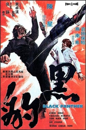 Poster Ordine da Hong Kong: uccidete la pantera nera 1973