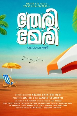 Poster തേരി മേരി 2025