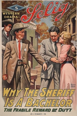Poster Why the Sheriff Is a Bachelor (1914)