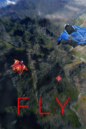 Image Fly