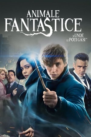 Image Animale fantastice și unde le poți găsi