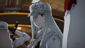 Les Brigades Immunitaires – BLACK – Hataraku Saibou Black: Saison 1 Episode 4