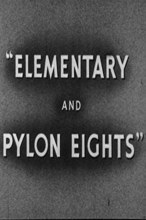 Poster Elementary and Pylon Eights 1944
