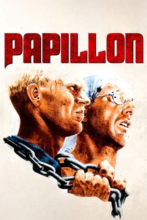 Poster Papillon 1973