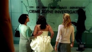 CSI: NY: 2×3