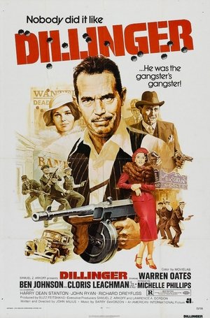 Click for trailer, plot details and rating of Dillinger (1973)