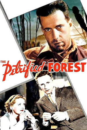 Постер фильма «Окаменевший лес (1936)» — (13 из 20)