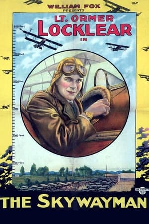 Poster The Skywayman (1920)