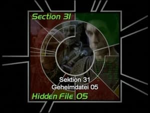 Image Section 31: Hidden File 05 (S06)