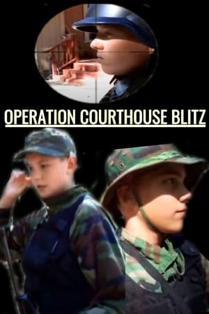 Operation Courthouse Blitz 2015