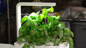 Ça vaut le coût: 8×15 {year} Online En Netflix