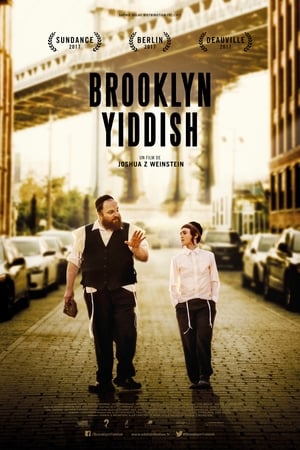 Brooklyn Yiddish 2017