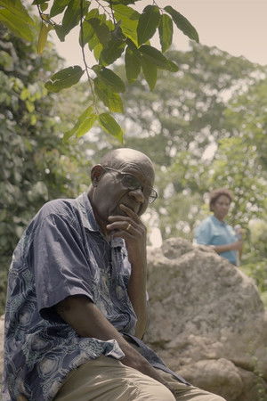 Dreaming Serenada (2026)