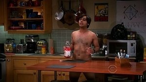 The Big Bang Theory: 4×22