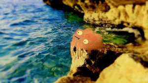 Épisode 11