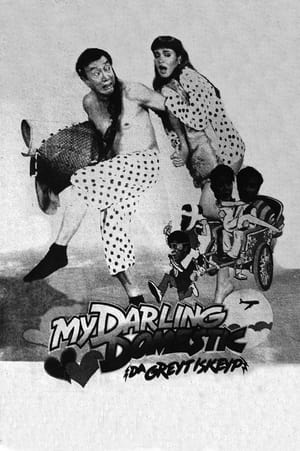 Poster My Darling Domestik (1989)