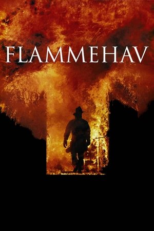 Image Flammehav