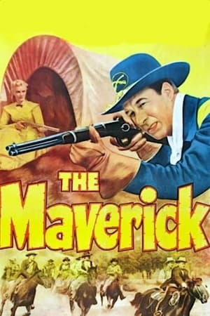 Poster The Maverick (1952)