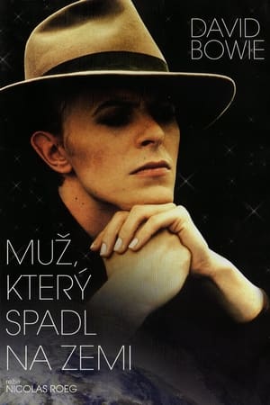 Poster Muž, který spadl na Zemi 1976