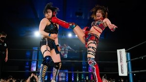 Stardom on Stardom World: 12×9