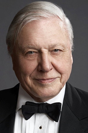 David Attenborough portrait
