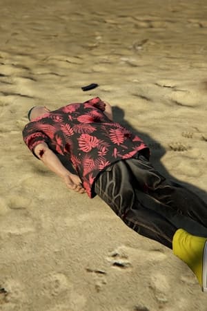 Ver Grand Theft Hamlet online en HD
