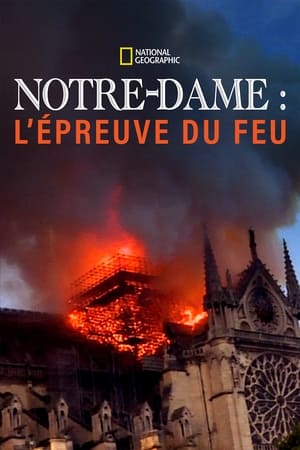 Image Notre-Dame : l'épreuve du feu