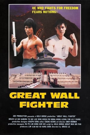 Poster Fire on the Great Wall 1990