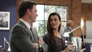 Agenci NCIS: s8 e20 PL