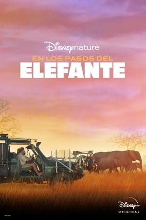 Image Tras los pasos del elefante