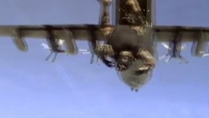 Secrets of the Navy Seals