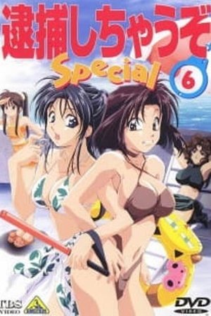 Taiho Shichau zo: Nagisa no Koutsuu Yuudou 1997