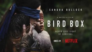 A ciegas (Bird Box) [2018][online][Mega]