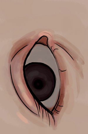 La Eterna B&uacute;squeda del Qui&eacute;n