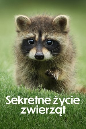 Image Sekretne życie zwierząt