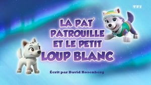 Paw Patrol Helfer auf vier Pfoten: 6×37